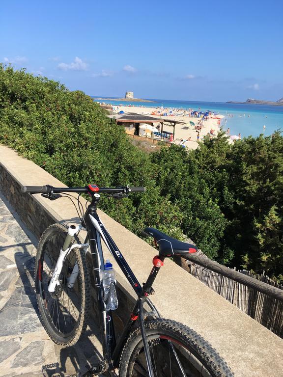 Ema Home Porto Torres Εξωτερικό φωτογραφία